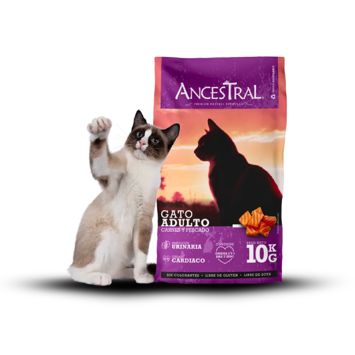 Ancestral alimento para gatos adultos