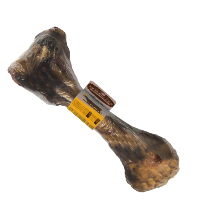 Femur de Vacuno